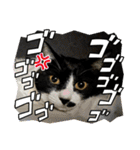 こなこなスタンプ2（個別スタンプ：38）