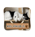 こなこなスタンプ2（個別スタンプ：39）
