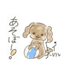 可愛い犬のスタンプー（個別スタンプ：1）