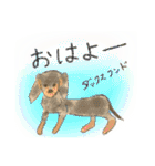 可愛い犬のスタンプー（個別スタンプ：6）