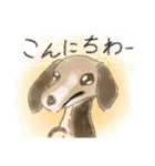 可愛い犬のスタンプー（個別スタンプ：14）