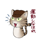 ベビス猫と仲間たち Vol.1（個別スタンプ：19）