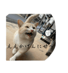 大阪弁Ver2（個別スタンプ：8）