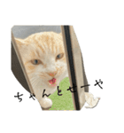 大阪弁Ver2（個別スタンプ：13）
