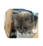 大阪弁Ver2（個別スタンプ：15）