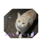 大阪弁Ver2（個別スタンプ：16）