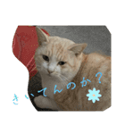 大阪弁Ver2（個別スタンプ：18）