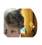 大阪弁Ver2（個別スタンプ：19）