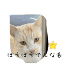 大阪弁Ver2（個別スタンプ：22）