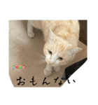 大阪弁Ver2（個別スタンプ：25）