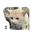 大阪弁Ver2（個別スタンプ：26）