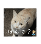 大阪弁Ver2（個別スタンプ：28）