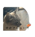 大阪弁Ver2（個別スタンプ：30）