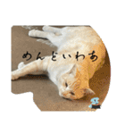 大阪弁Ver2（個別スタンプ：34）