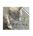 大阪弁Ver2（個別スタンプ：35）