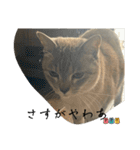 大阪弁Ver2（個別スタンプ：36）