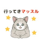 【飛び出す】ダジャレde仔猫のぽんにゃん（個別スタンプ：19）