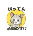 【飛び出す】ダジャレde仔猫のぽんにゃん（個別スタンプ：23）