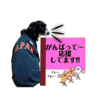 ボーダーコリーの林檎なのは2（個別スタンプ：29）