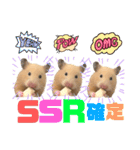 使いやすいハムスターのスタンプ（個別スタンプ：1）