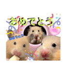 使いやすいハムスターのスタンプ（個別スタンプ：10）