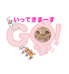スコのジョニーちゃん♡デカ文字③（個別スタンプ：1）