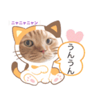 スコのジョニーちゃん♡デカ文字③（個別スタンプ：9）