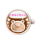 スコのジョニーちゃん♡デカ文字③（個別スタンプ：13）