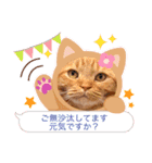 スコのジョニーちゃん♡デカ文字③（個別スタンプ：15）