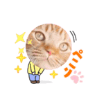 スコのジョニーちゃん♡デカ文字③（個別スタンプ：17）