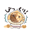 スコのジョニーちゃん♡デカ文字③（個別スタンプ：21）