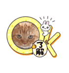 スコのジョニーちゃん♡デカ文字③（個別スタンプ：22）
