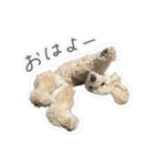 やまとだよ〜（個別スタンプ：3）