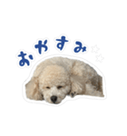 やまとだよ〜（個別スタンプ：4）