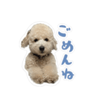 やまとだよ〜（個別スタンプ：5）