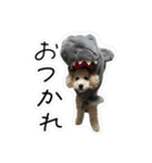 やまとだよ〜（個別スタンプ：7）