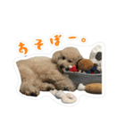 やまとだよ〜（個別スタンプ：14）