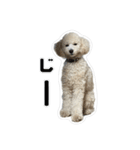 やまとだよ〜（個別スタンプ：15）