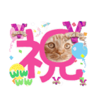 スコのジョニーちゃん♡デカ文字4♡（個別スタンプ：1）