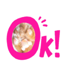 スコのジョニーちゃん♡デカ文字4♡（個別スタンプ：9）