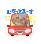 スコのジョニーちゃん♡デカ文字4♡（個別スタンプ：11）