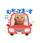 スコのジョニーちゃん♡デカ文字4♡（個別スタンプ：12）