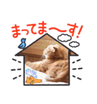 スコのジョニーちゃん♡デカ文字4♡（個別スタンプ：14）