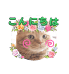 スコのジョニーちゃん♡デカ文字4♡（個別スタンプ：15）