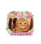 スコのジョニーちゃん♡デカ文字4♡（個別スタンプ：22）