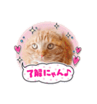スコのジョニーちゃん♡デカ文字4♡（個別スタンプ：24）