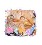 スコのジョニーちゃん♡デカ文字4♡（個別スタンプ：26）