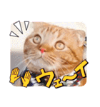 スコのジョニーちゃん♡デカ文字4♡（個別スタンプ：28）