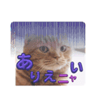 スコのジョニーちゃん♡デカ文字4♡（個別スタンプ：30）