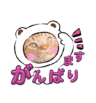 スコのジョニーちゃん♡デカ文字4♡（個別スタンプ：36）